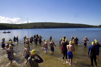 swim start 2013_0.jpg